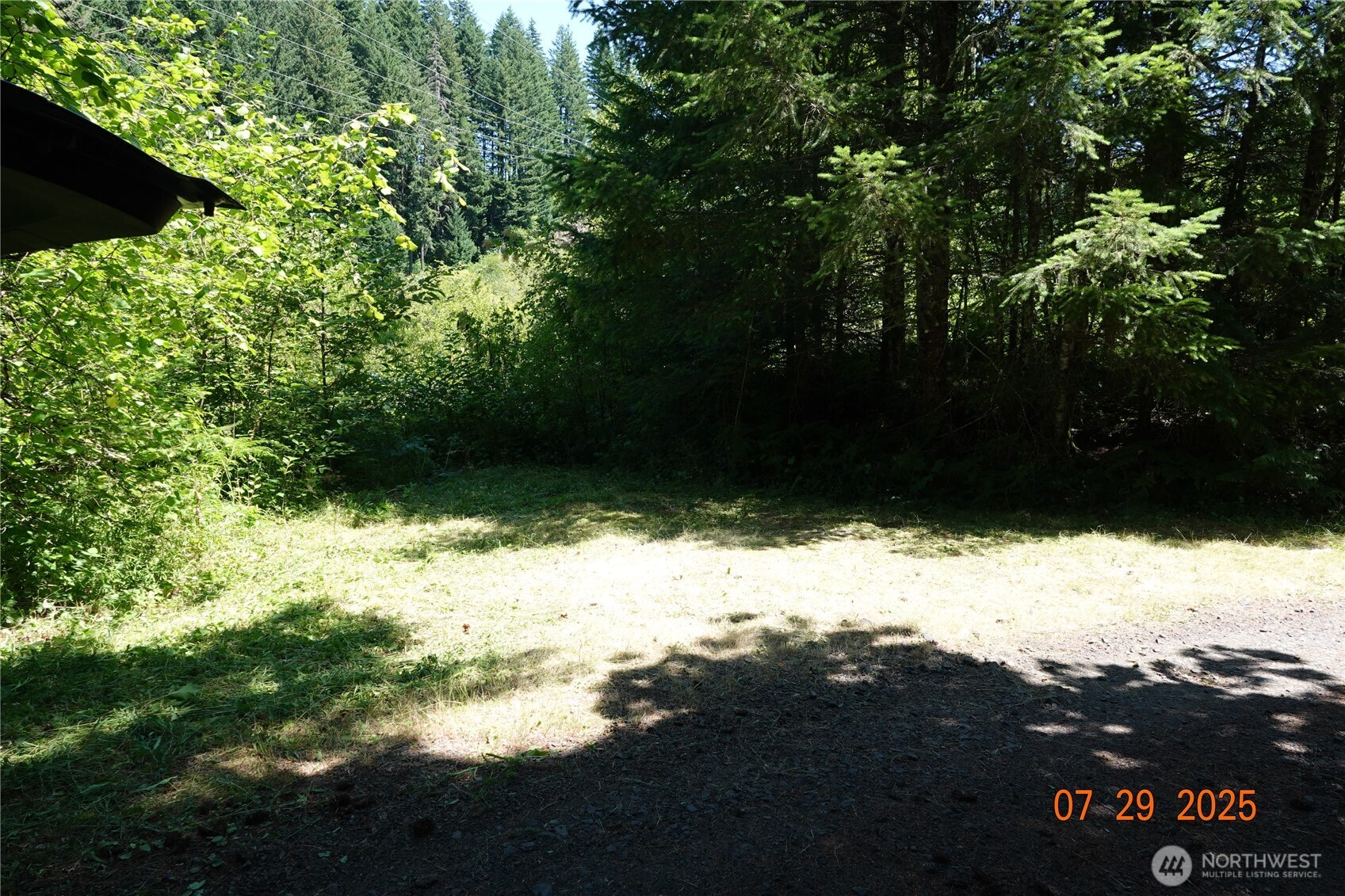1 Duncan Creek Road Stevenson, WA 98648 - Photo 27 of 37 a view of a yard with a tree
