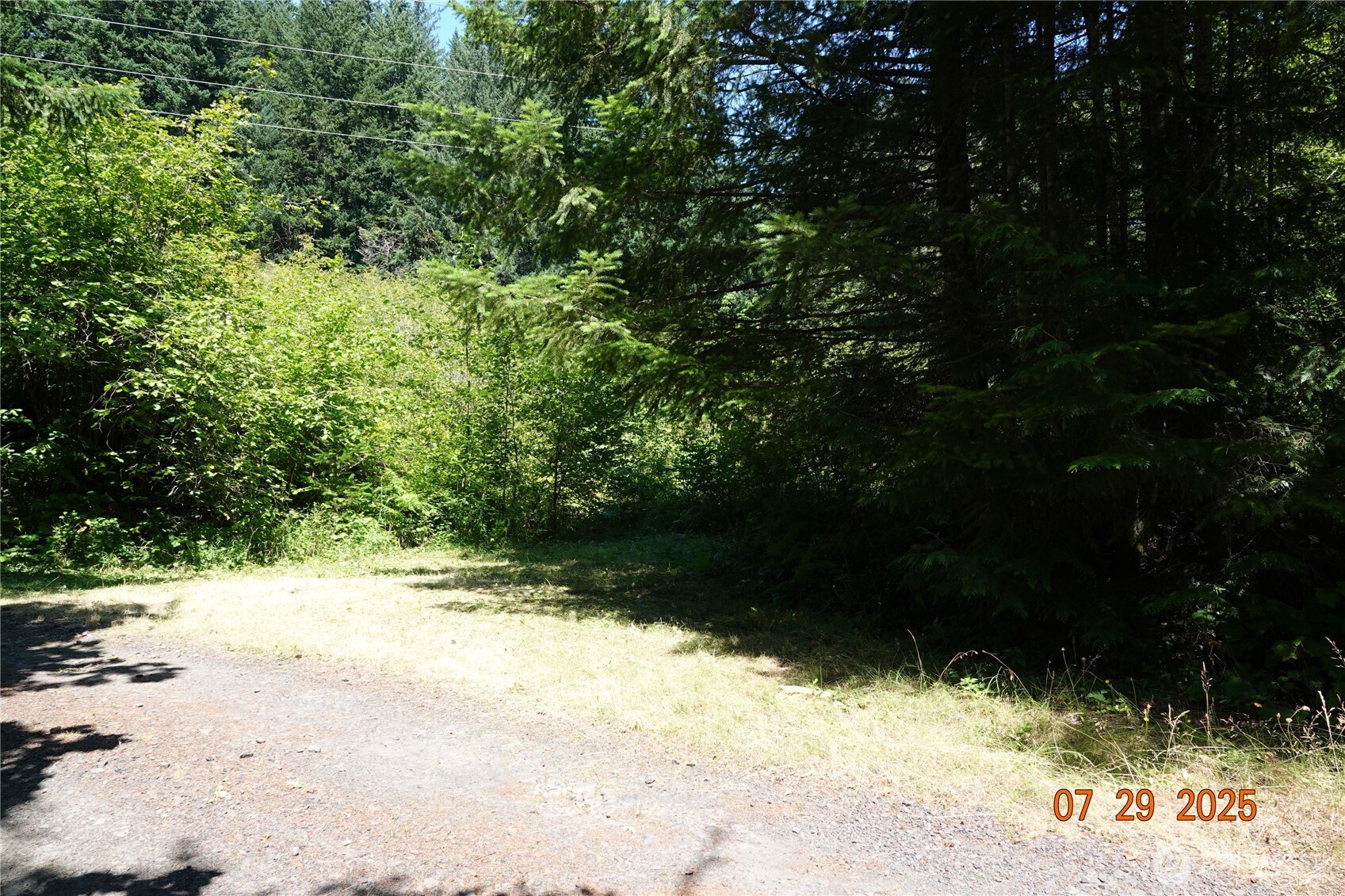 1 Duncan Creek Road Stevenson, WA 98648 - Photo 28 of 37 a view of a yard with a tree