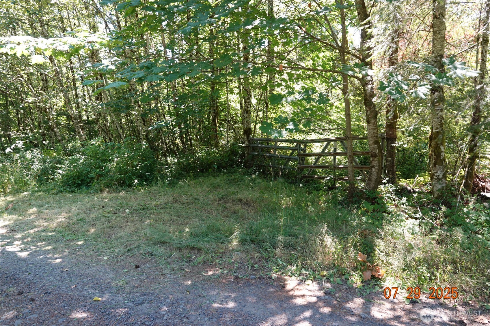 1 Duncan Creek Road Stevenson, WA 98648 - Photo 29 of 37 a view of outdoor space and trees