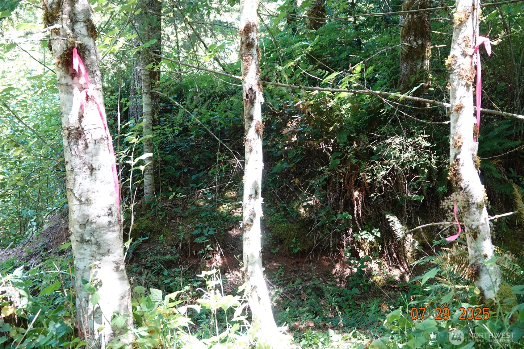 1 Duncan Creek Road Stevenson, WA 98648 - Photo 31 of 37 an outdoor view of house with green space