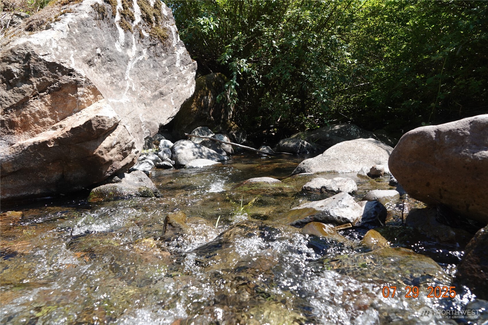 1 Duncan Creek Road Stevenson, WA 98648 - Photo 36 of 37 a view of a tree in a yard