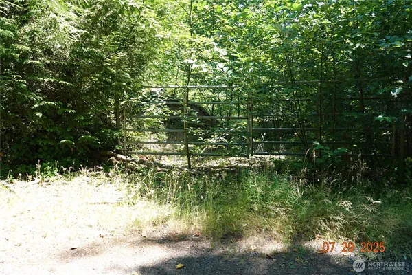 a view of a yard