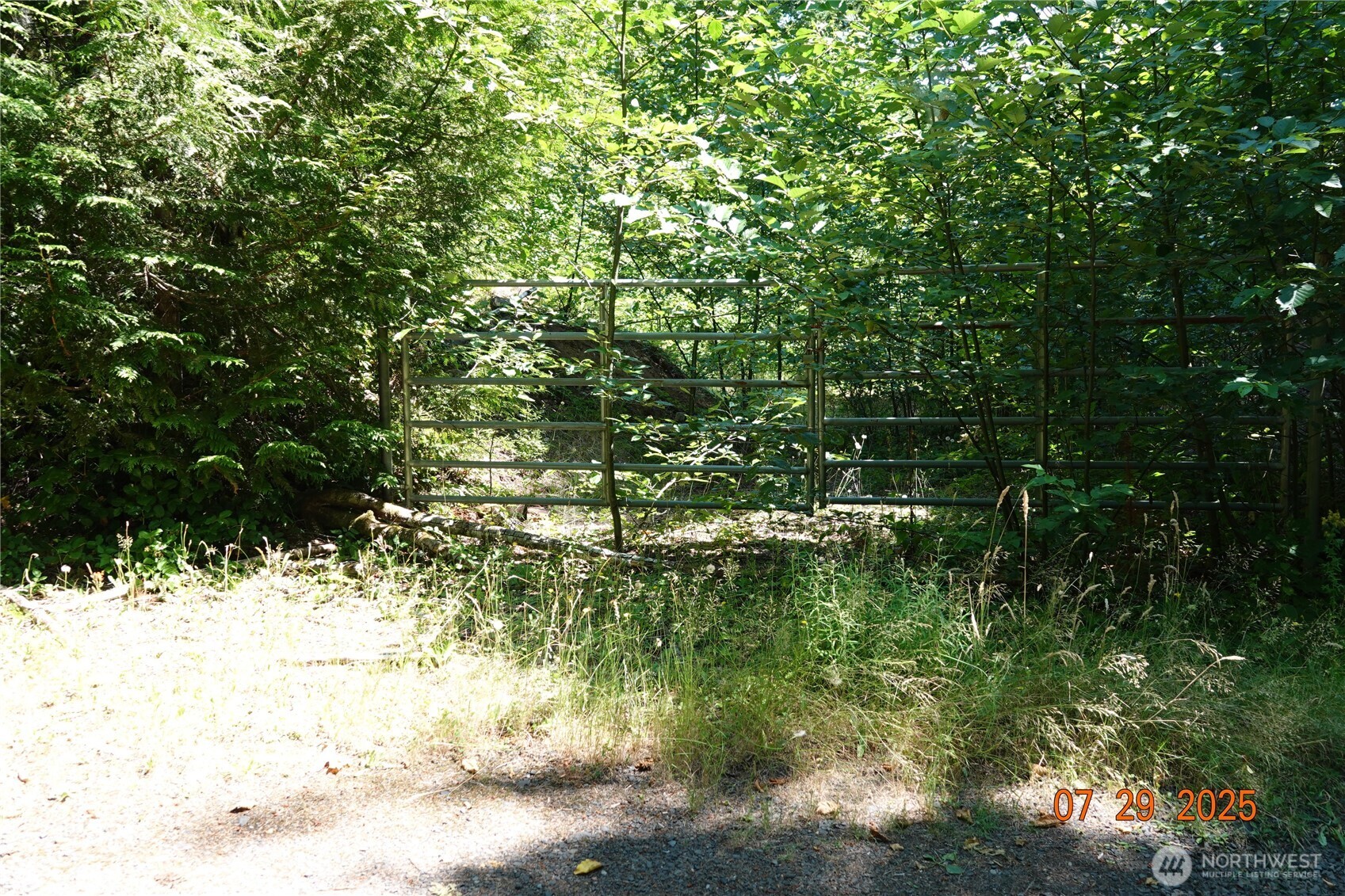 1 Duncan Creek Road Stevenson, WA 98648 - Photo 4 of 37 a view of a yard