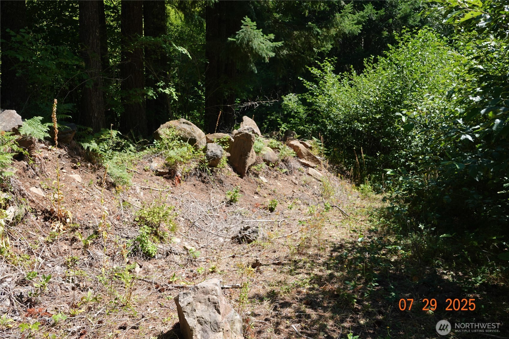 1 Duncan Creek Road Stevenson, WA 98648 - Photo 6 of 37 a view of yard