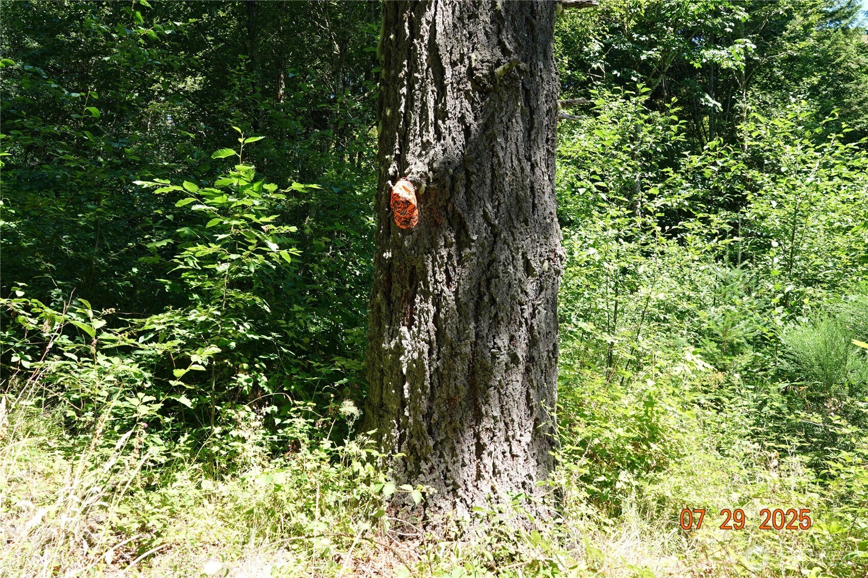 1 Duncan Creek Road Stevenson, WA 98648 - Photo 7 of 37
