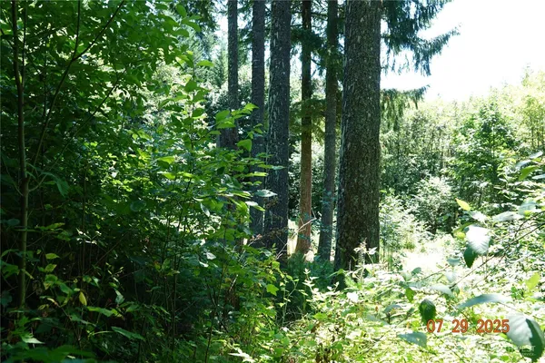 a backyard of a house with lots of green space