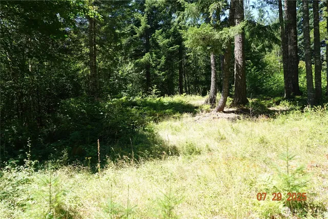 a view of outdoor space and garden