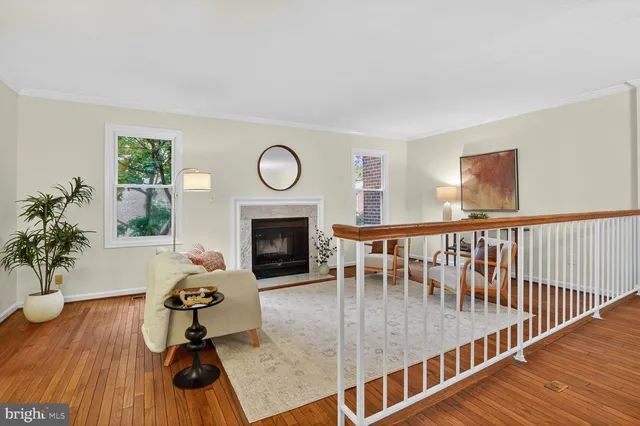 a living room with furniture a fireplace and a potted plant