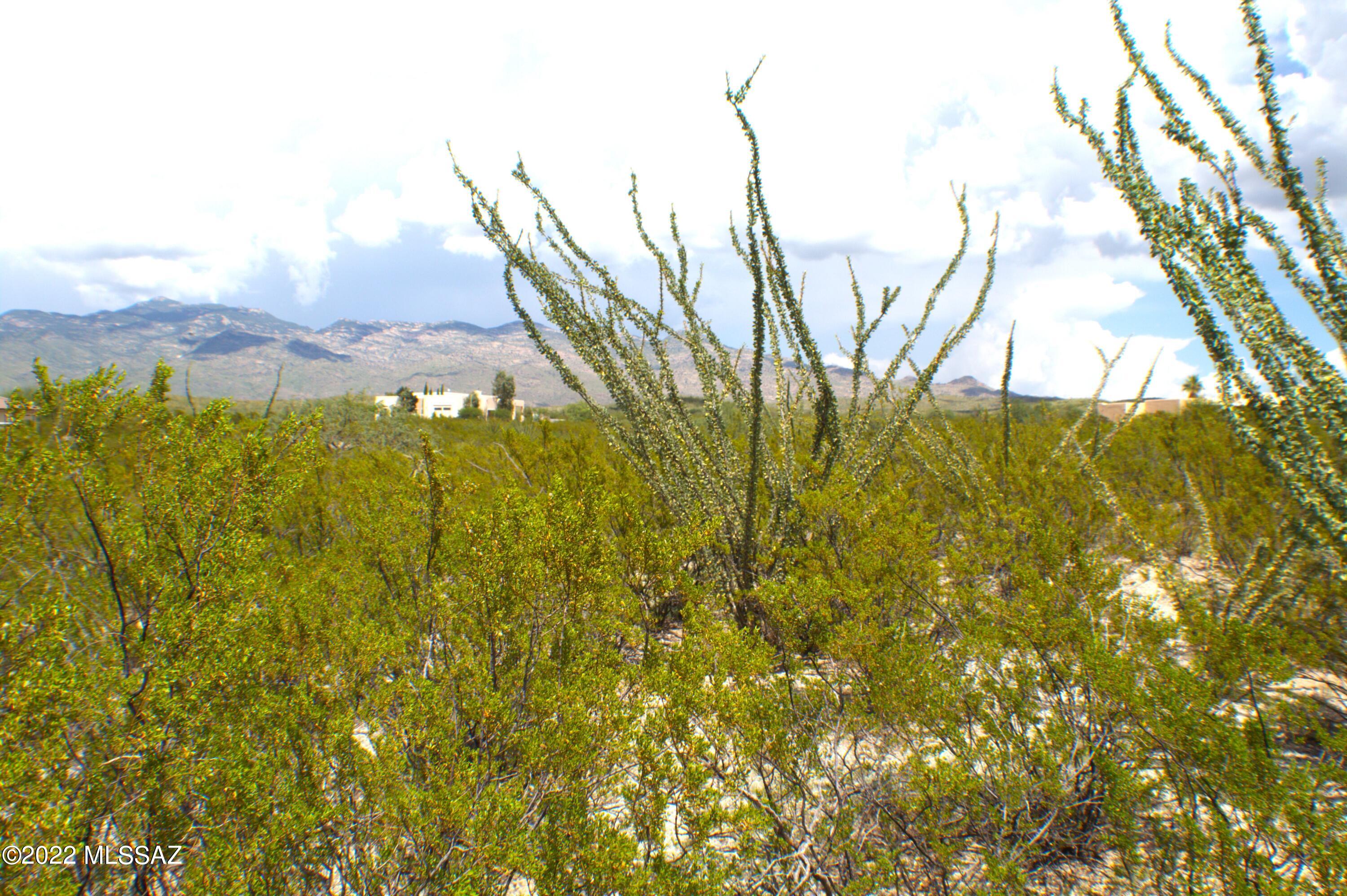 Tbd South Taurus Place Vail, AZ 85641 - Photo 24 of 30