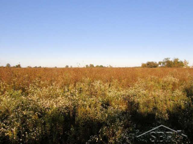 15600 South Raucholz Road Chesaning, MI 48616 - Photo 1 of 4 20077432.JPG
