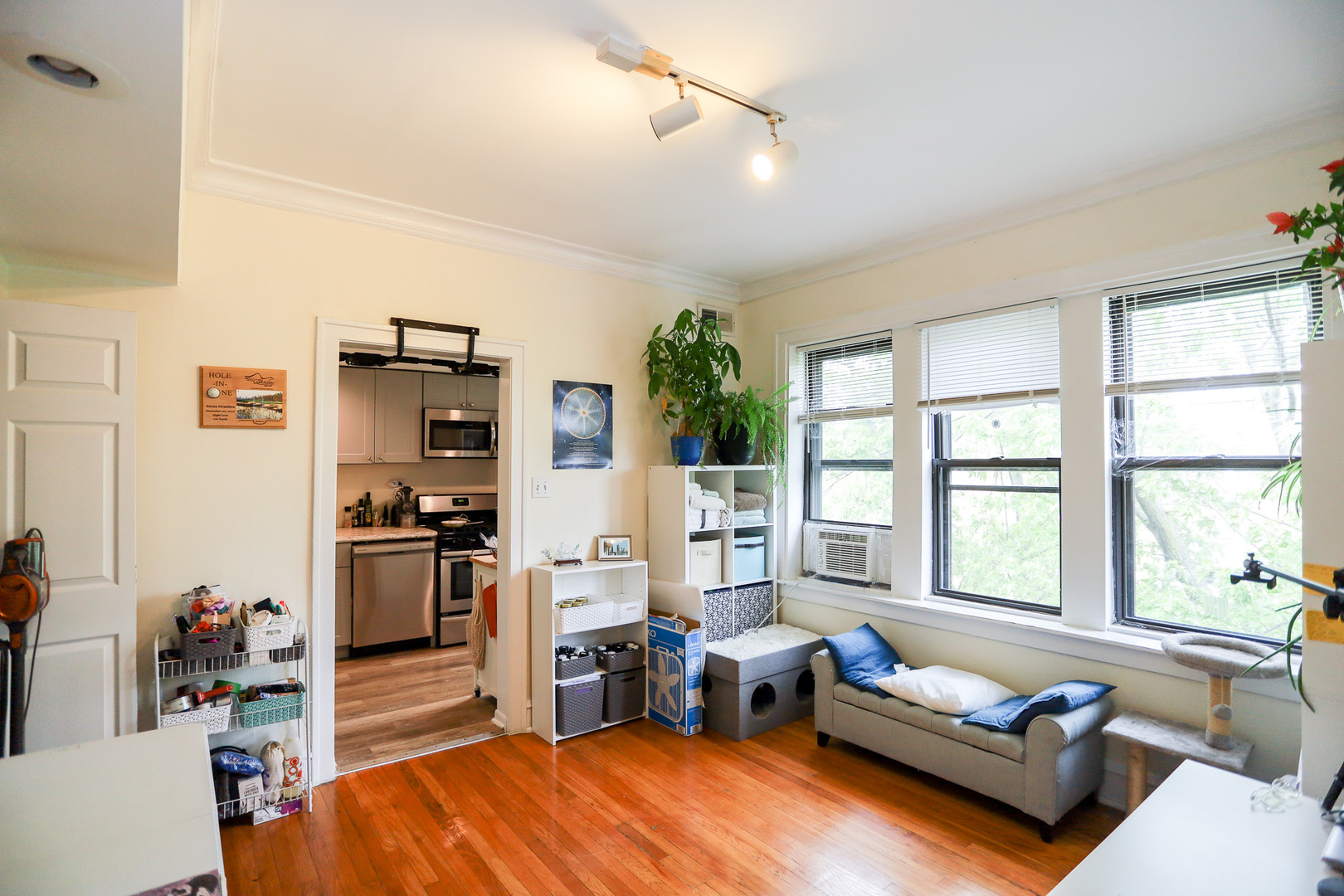 2325 West Addison Street, Unit 3 Chicago, IL 60618 - Photo 6 of 12 a living room with furniture and a large window