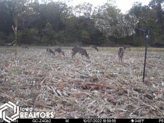 26845 County Road R52 Leon, IA 50144 - Photo 45 of 92 Gallery Image 45