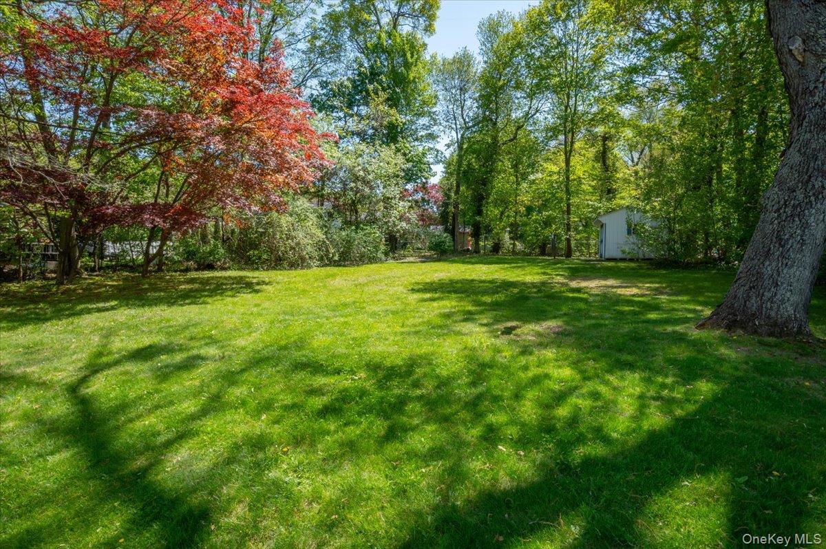 147 Lockwood Road Cortlandt Manor, NY 10567 - Photo 27 of 31 a view of a grassy field with trees in the background