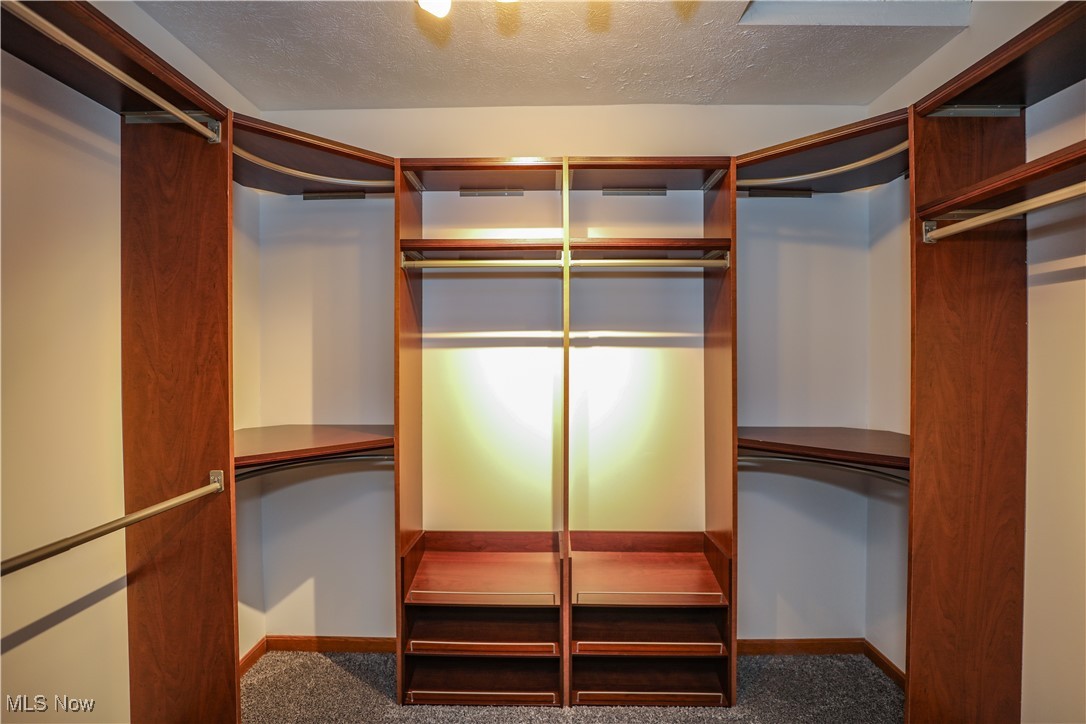 12565 Alpha Road Hiram, OH 44234 - Photo 28 of 50 Spacious closet featuring carpet flooring
