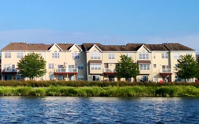 a view of a lake with plants and large trees