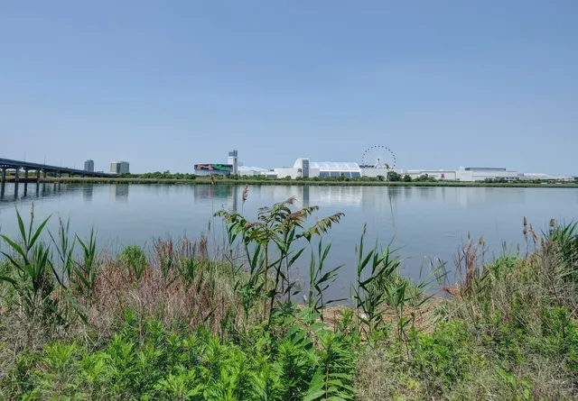 a view of swimming pool with outdoor seating and plants