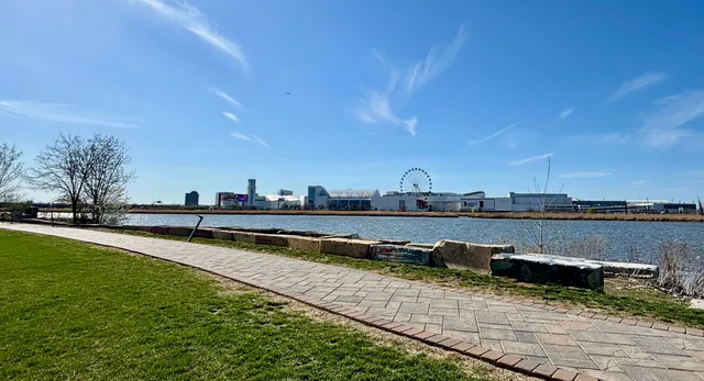 a view of a garden with plants