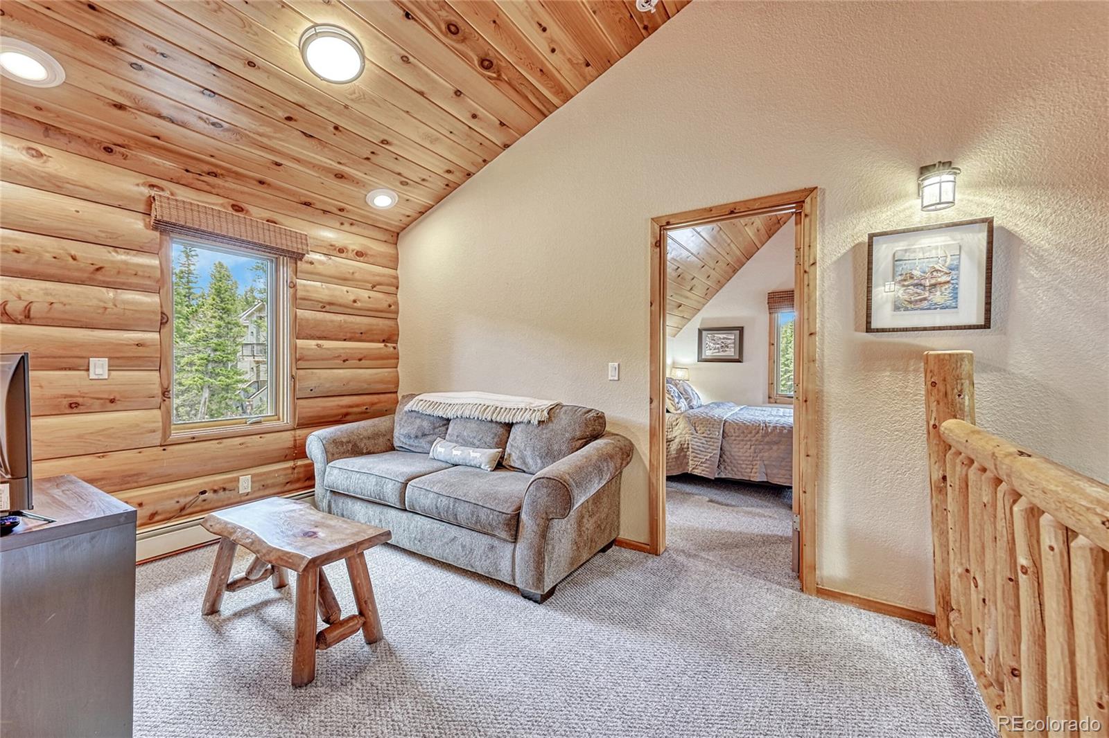 307 Lake Road Idaho Springs, CO 80452 - Photo 21 of 41 Gallery Image 21
