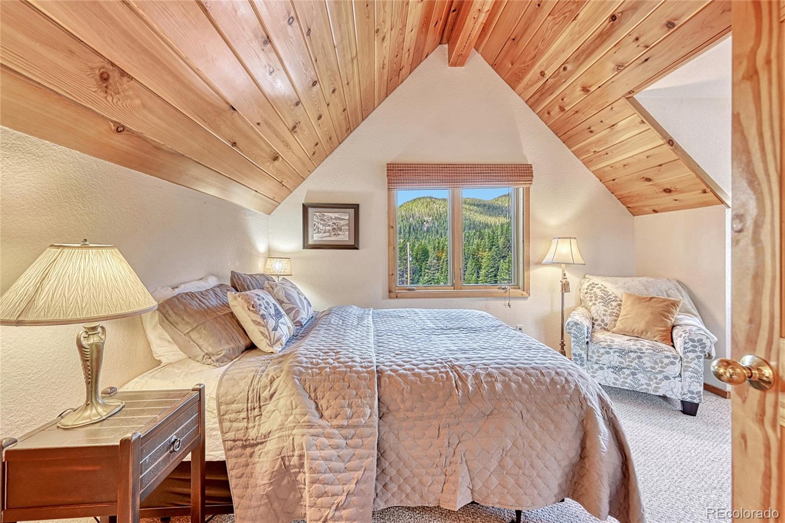 307 Lake Road Idaho Springs, CO 80452 - Photo 22 of 41 Gallery Image 22