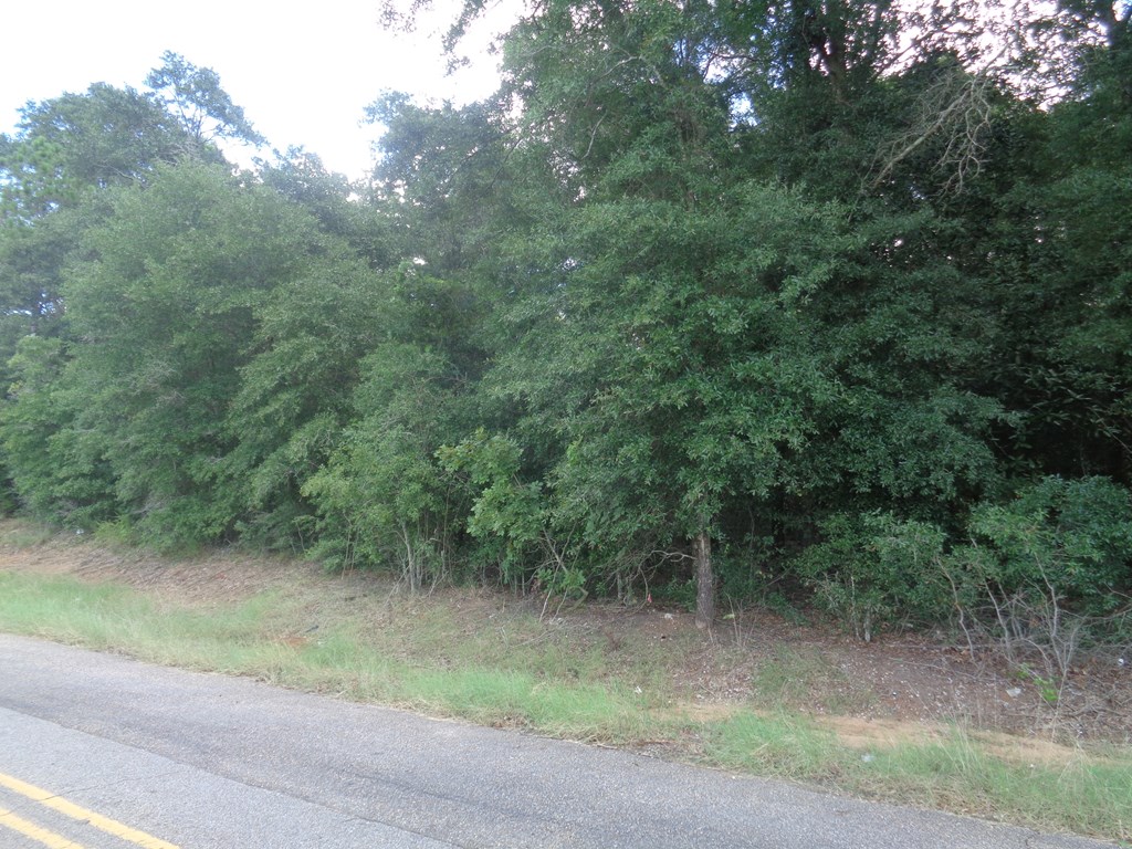 10.5-ac Green Valley Road Dothan, AL 36301 - Photo 5 of 14