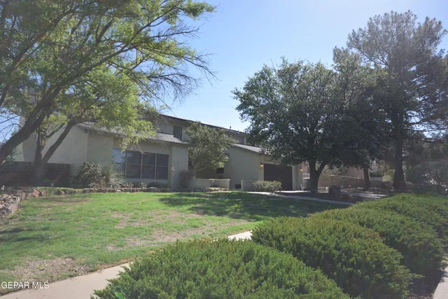 a backyard of a house with plants and large tree