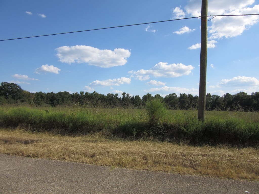 0 Baxter Road Webb, AL 36376 - Photo 3 of 8