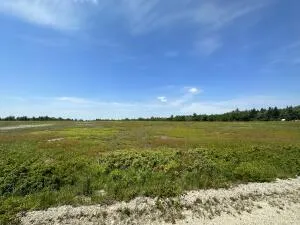 $359,000 | Map13-lot11 Martins Ridge Road, Franklin, ME 04634