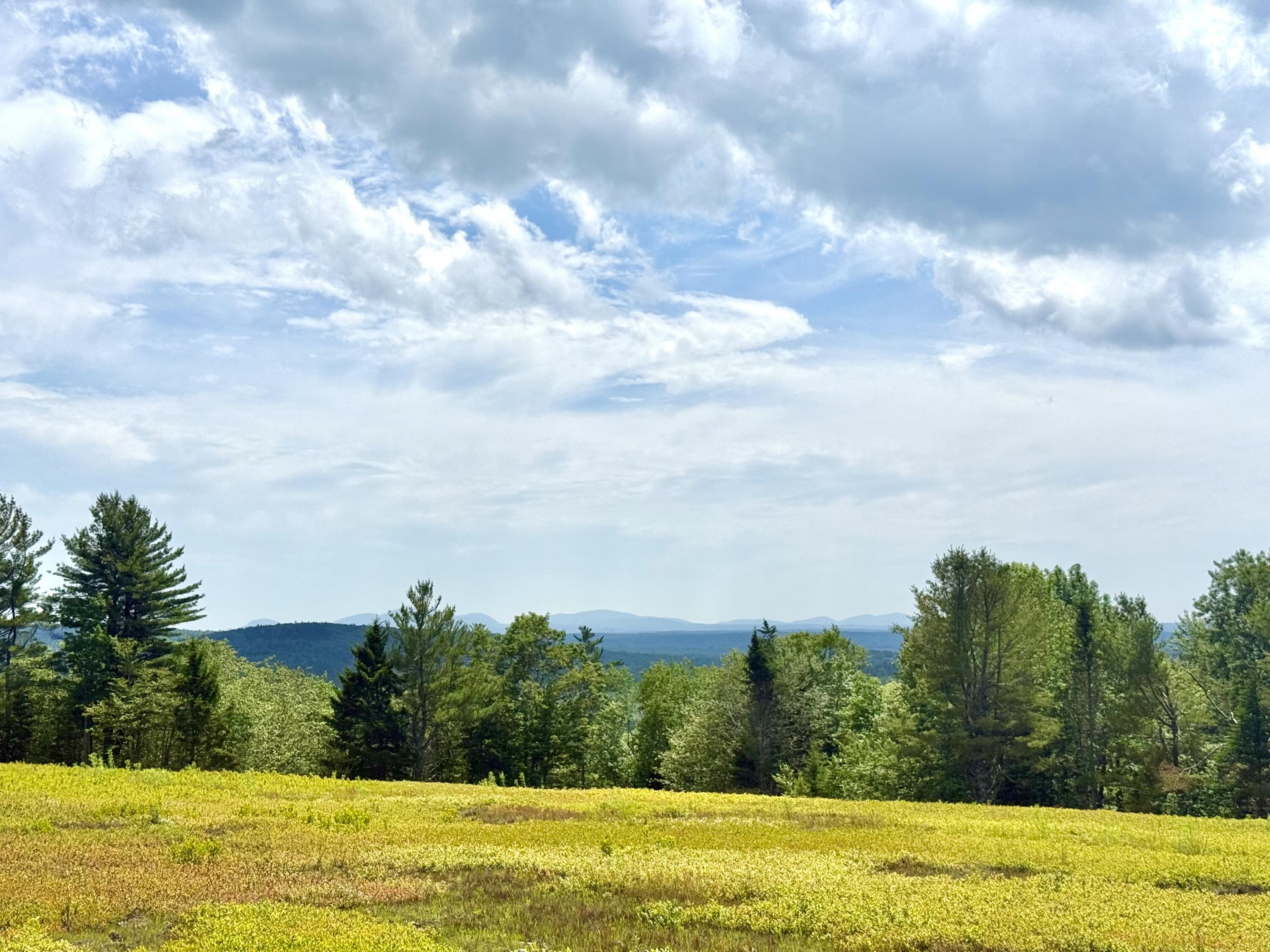 Map13-lot11 Martins Ridge Road Franklin, ME 04634 - Photo 12 of 18 Lot 11