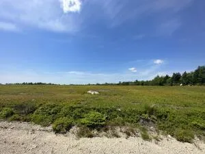 $359,000 | Map13-lot11 Martins Ridge Road, Franklin, ME 04634