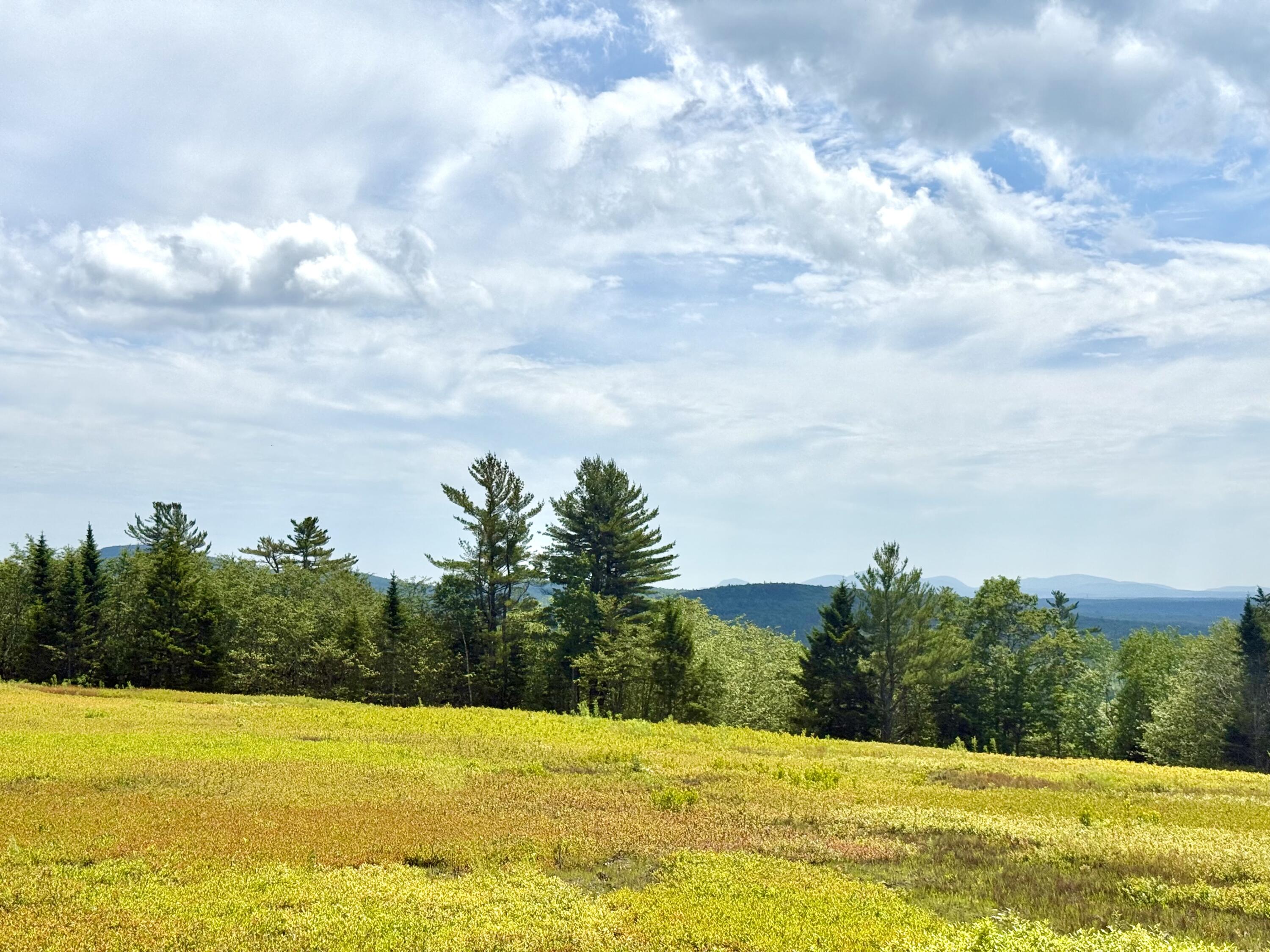 Map13-lot11 Martins Ridge Road Franklin, ME 04634 - Photo 13 of 18 Lot 11