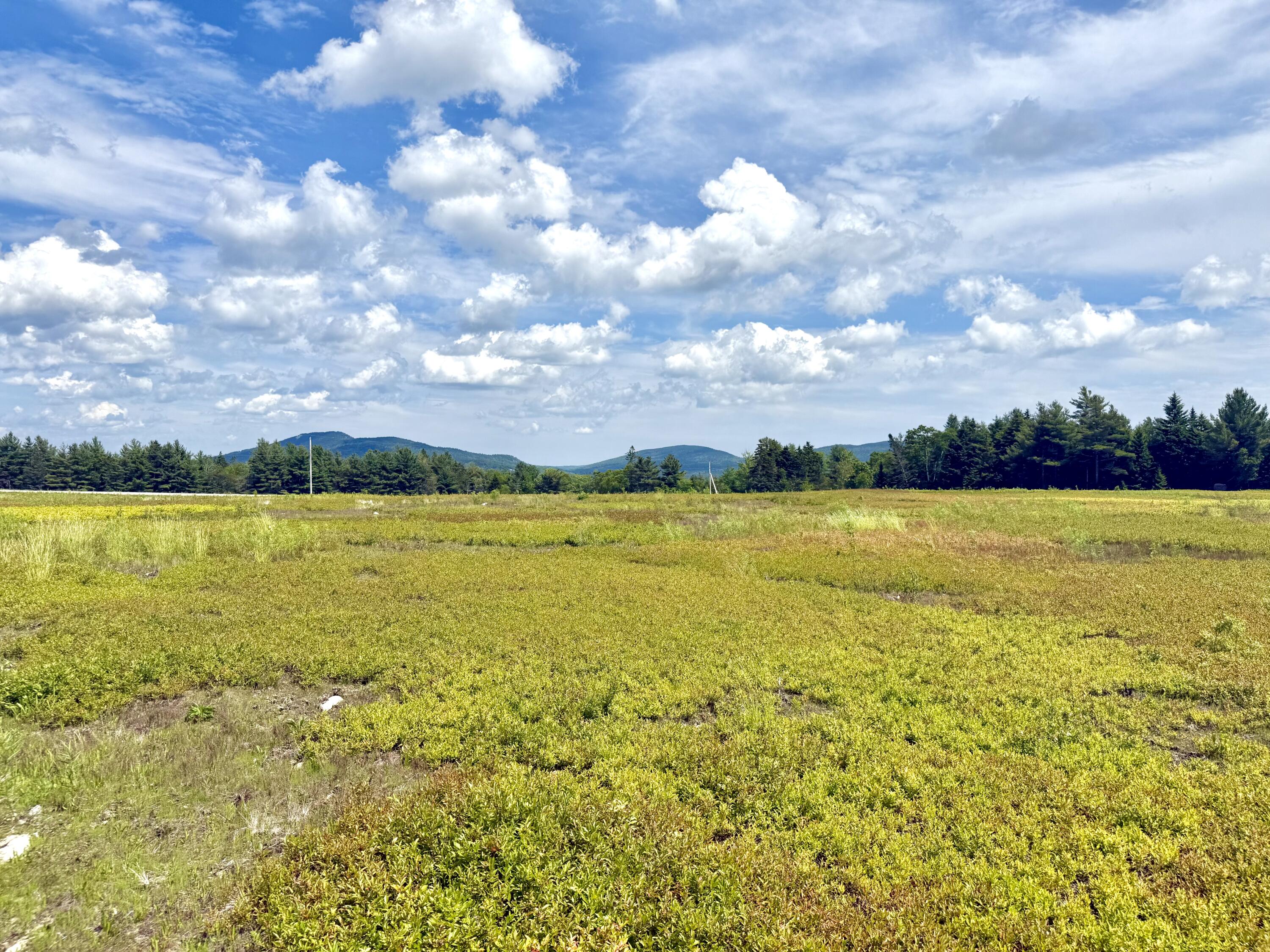 Map13-lot11 Martins Ridge Road Franklin, ME 04634 - Photo 14 of 18 Lot 11