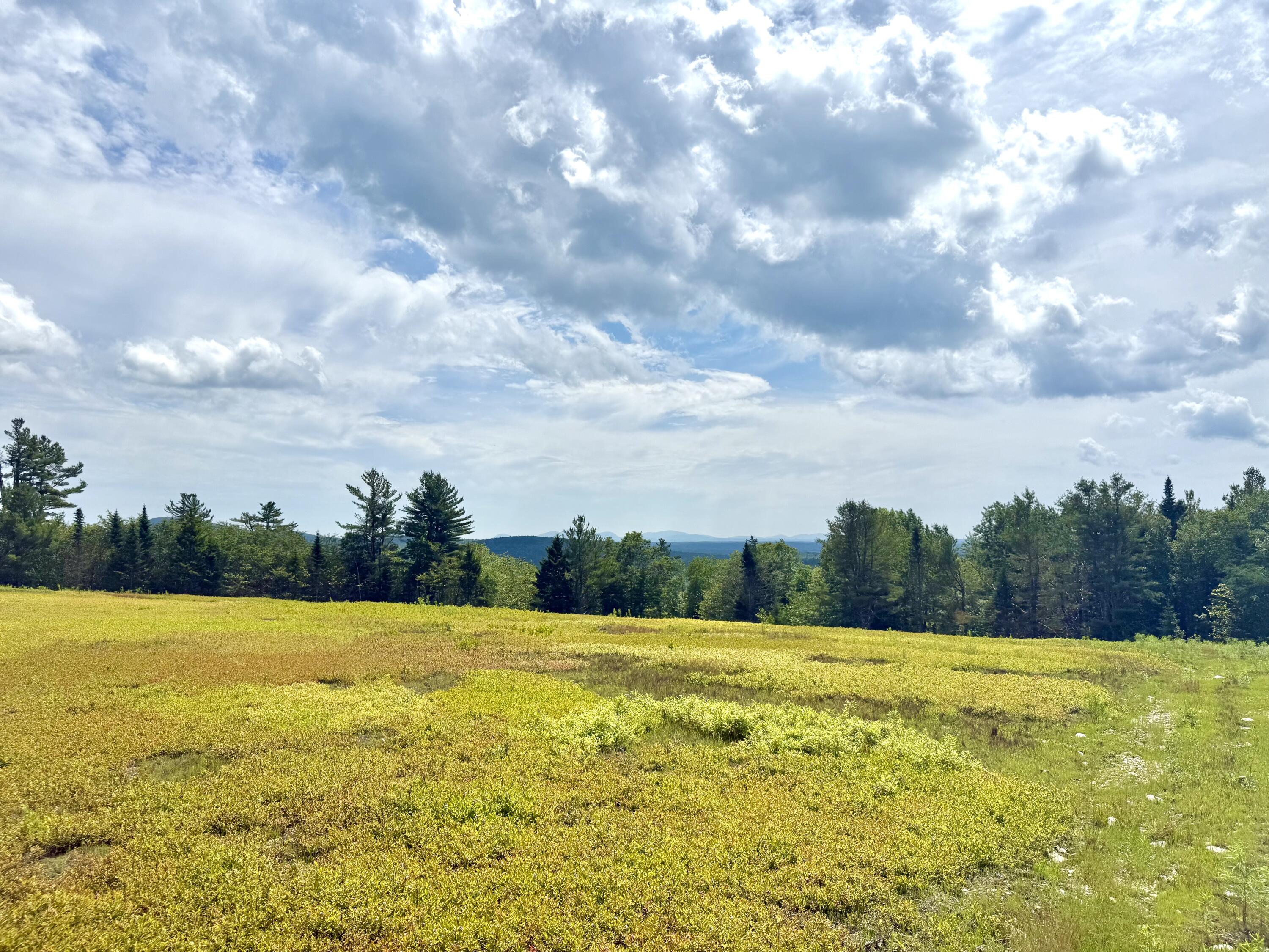 Map13-lot11 Martins Ridge Road Franklin, ME 04634 - Photo 15 of 18 Lot 11