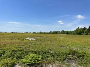 $359,000 | Map13-lot11 Martins Ridge Road, Franklin, ME 04634