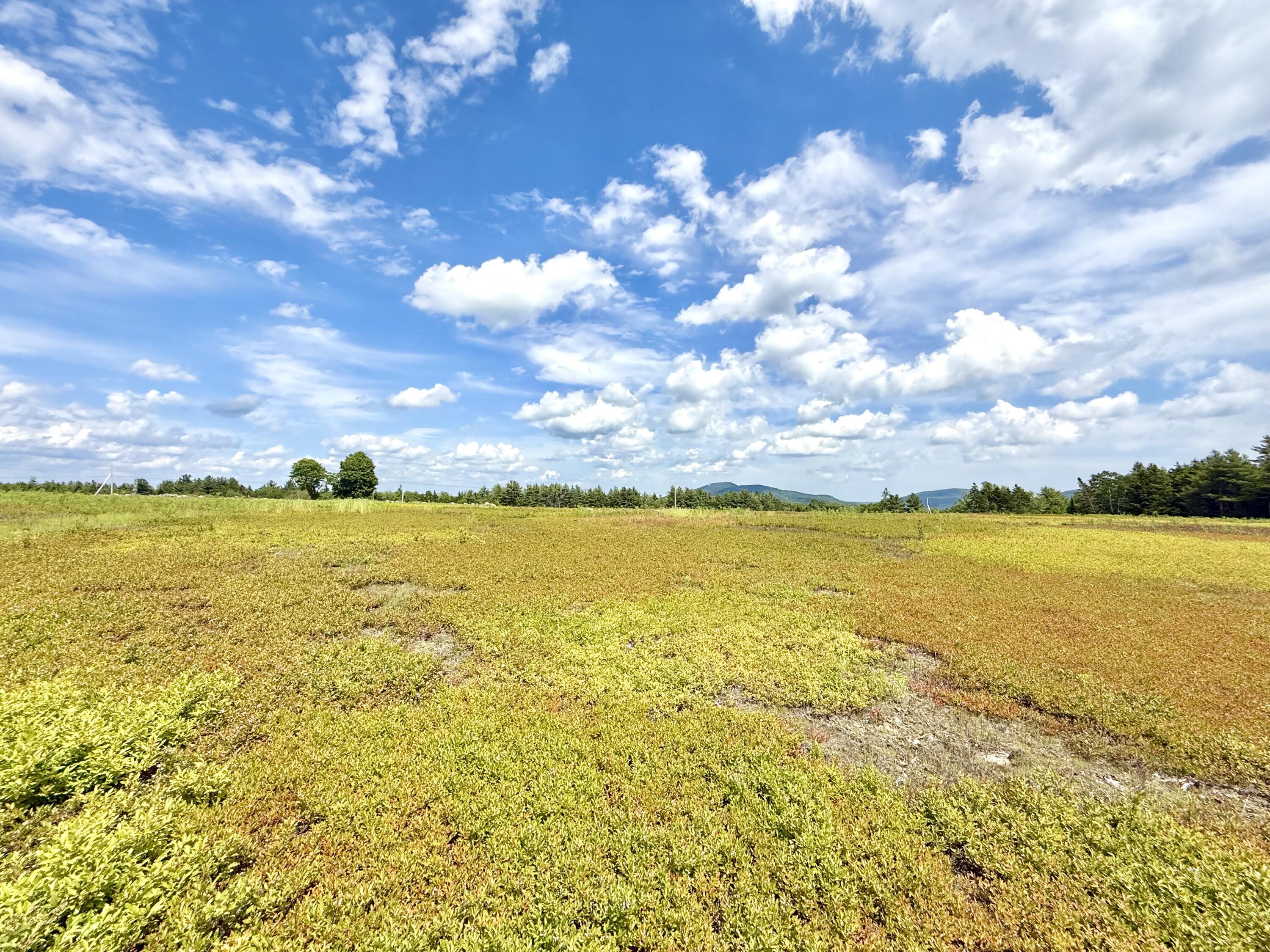 Map13-lot11 Martins Ridge Road Franklin, ME 04634 - Photo 18 of 18 IMG_8628