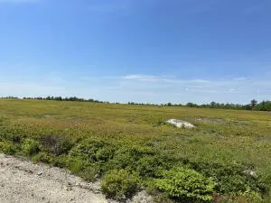 $359,000 | Map13-lot11 Martins Ridge Road, Franklin, ME 04634