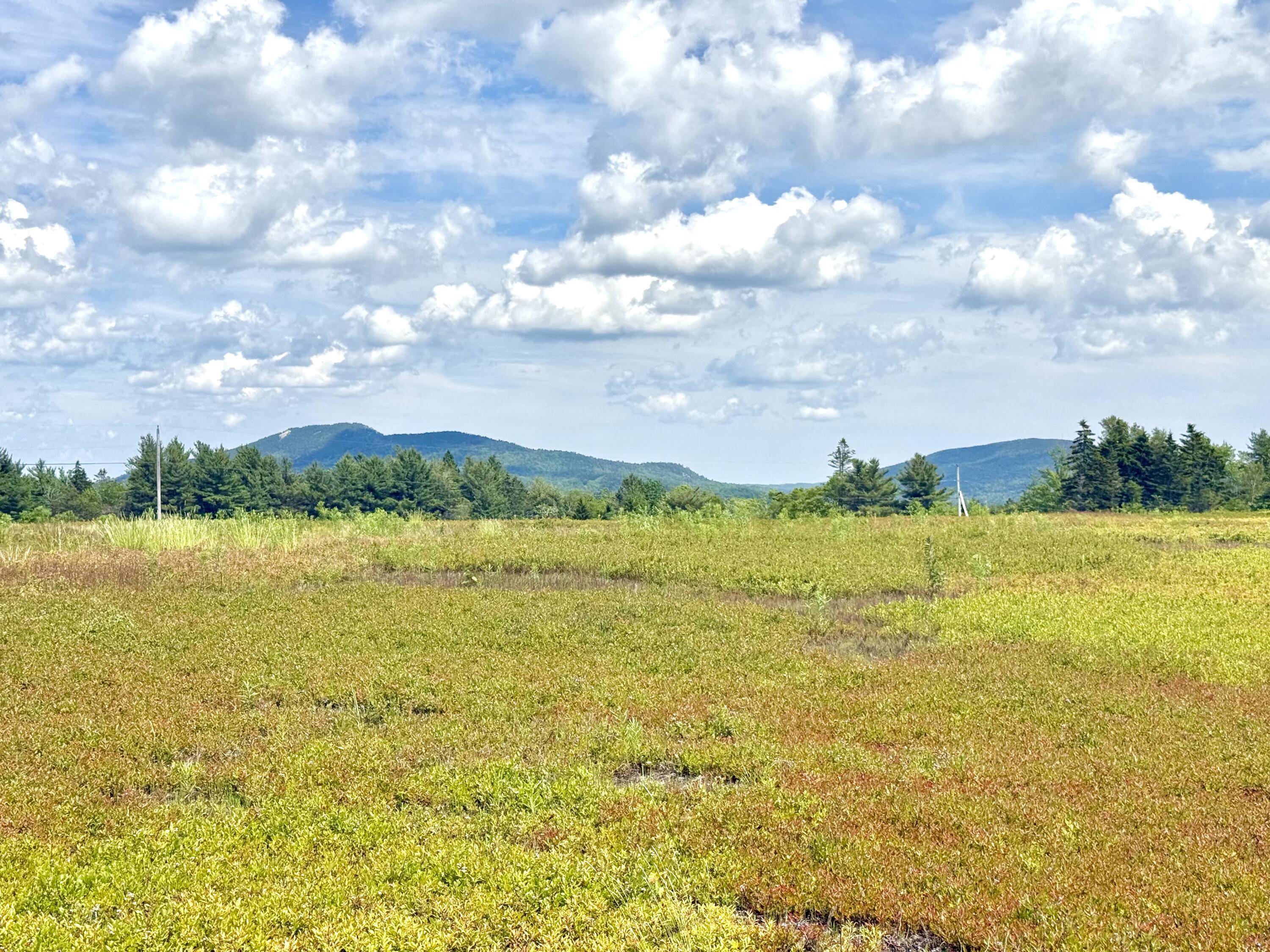 Map13-lot11 Martins Ridge Road Franklin, ME 04634 - Photo 2 of 18 Lot 11