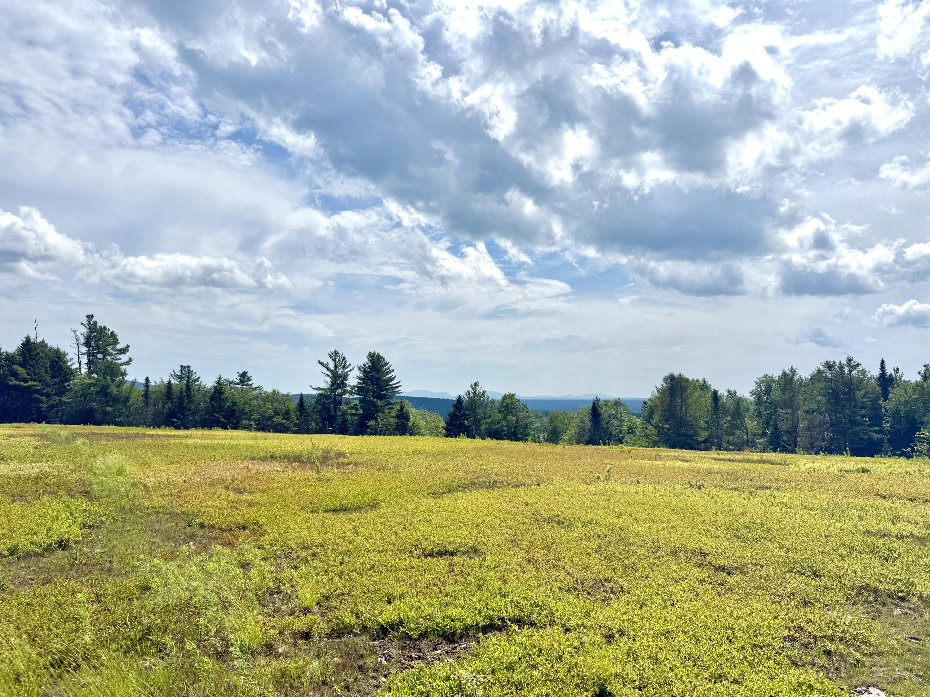 Map13-lot11 Martins Ridge Road Franklin, ME 04634 - Photo 4 of 18 Lot 11