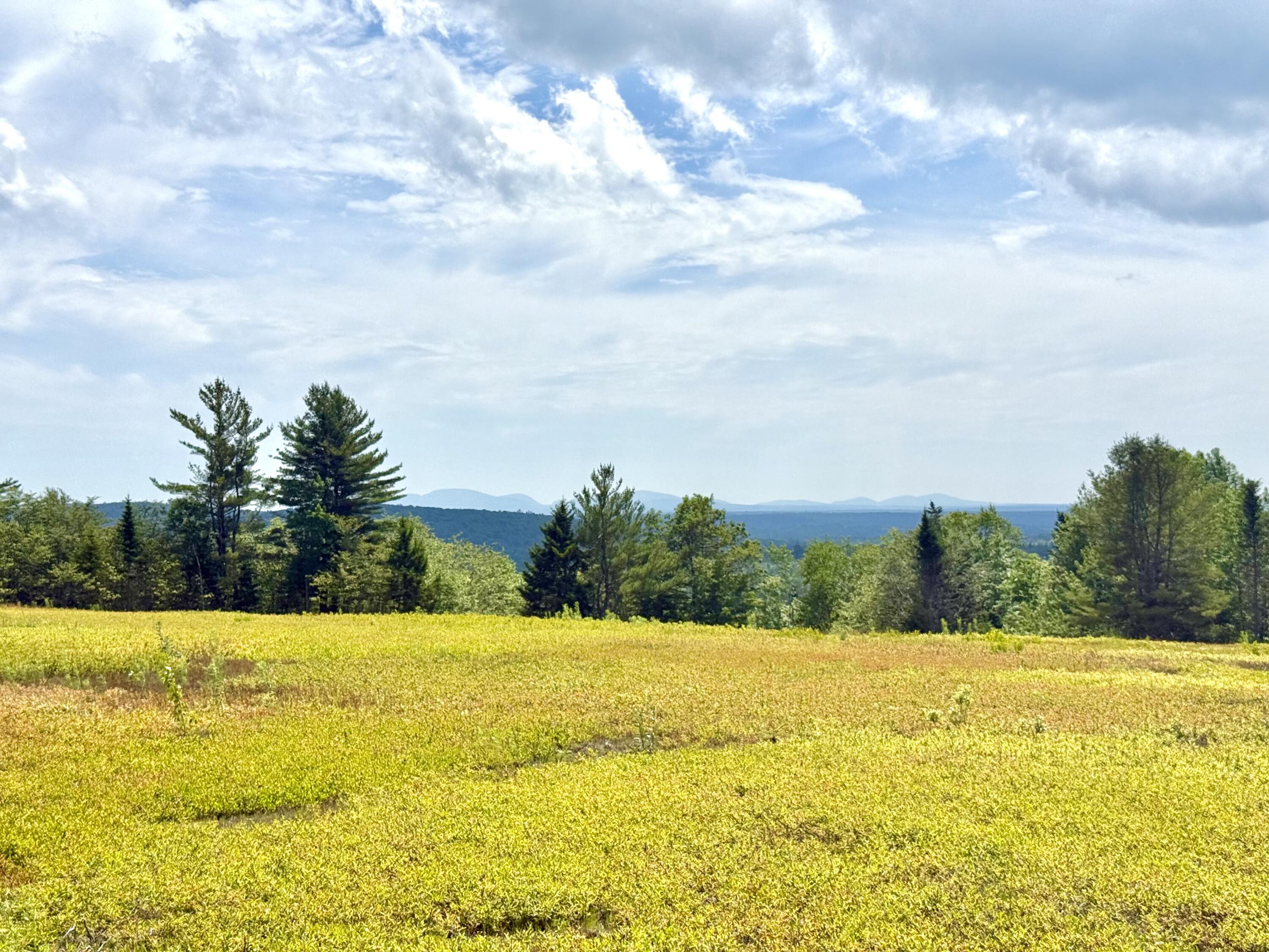 Map13-lot11 Martins Ridge Road Franklin, ME 04634 - Photo 5 of 18 Lot 11