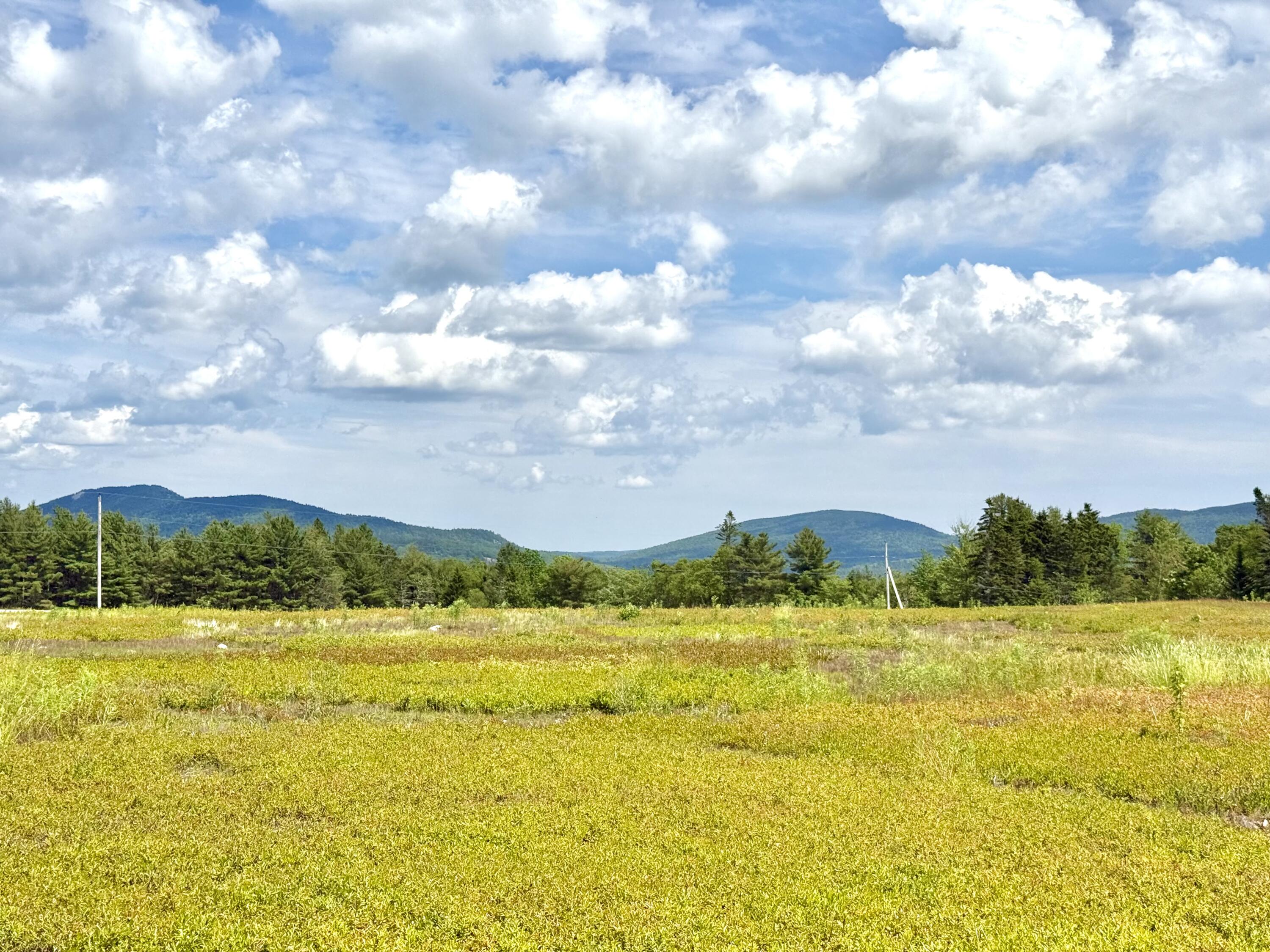 Map13-lot11 Martins Ridge Road Franklin, ME 04634 - Photo 6 of 18 Lot 11