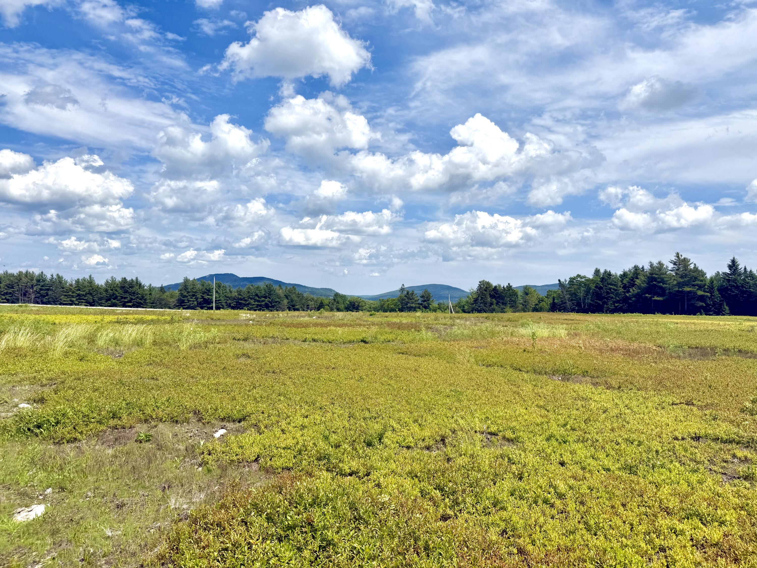Map13-lot11 Martins Ridge Road Franklin, ME 04634 - Photo 8 of 18 Lot 11