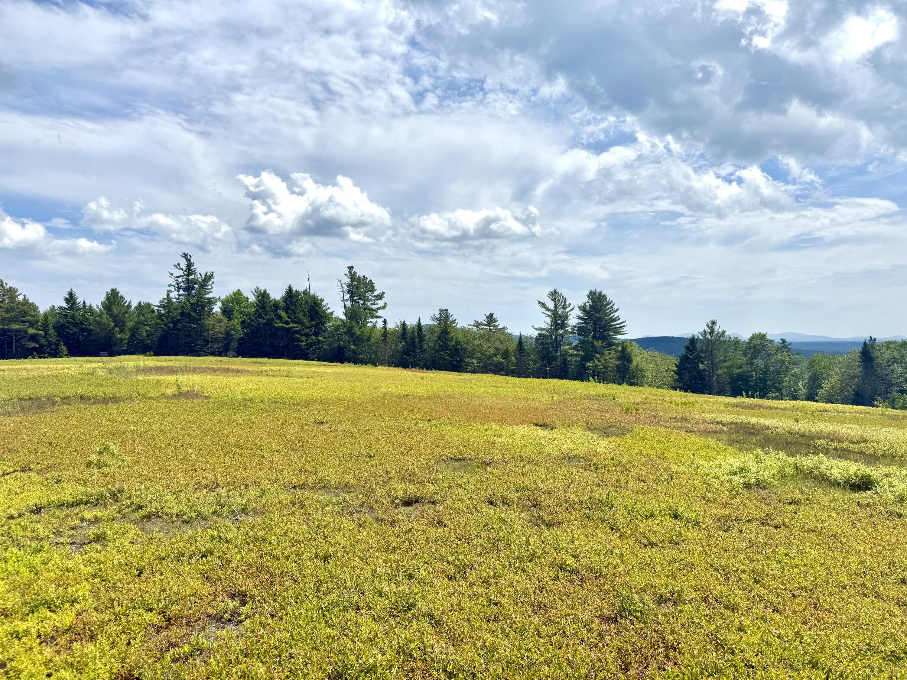 Map13-lot11 Martins Ridge Road Franklin, ME 04634 - Photo 9 of 18 Lot 11