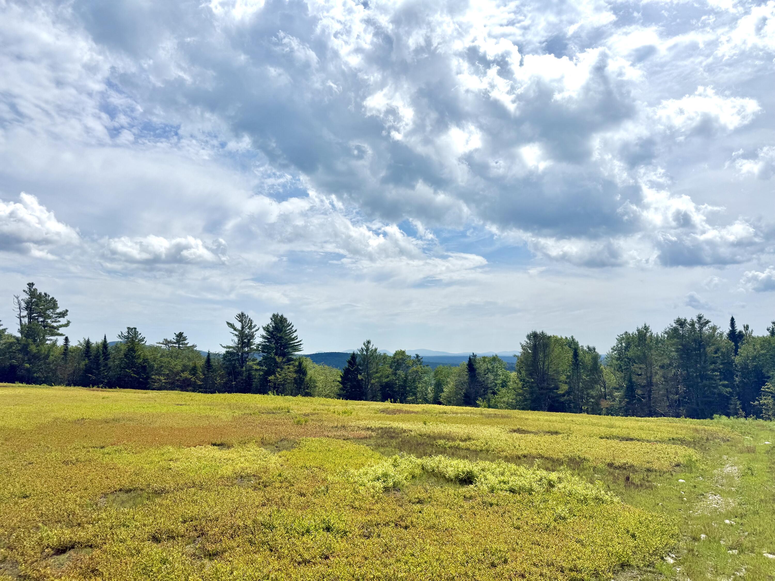 Map13-lot11 Martins Ridge Road Franklin, ME 04634 - Photo 10 of 18 Lot 11