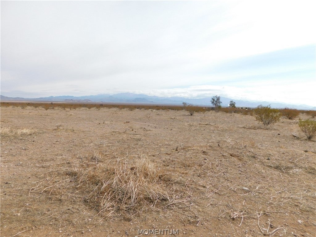 3788 Jasper Road Golden Valley, AZ 86413 - Photo 7 of 14 Gallery Image 7