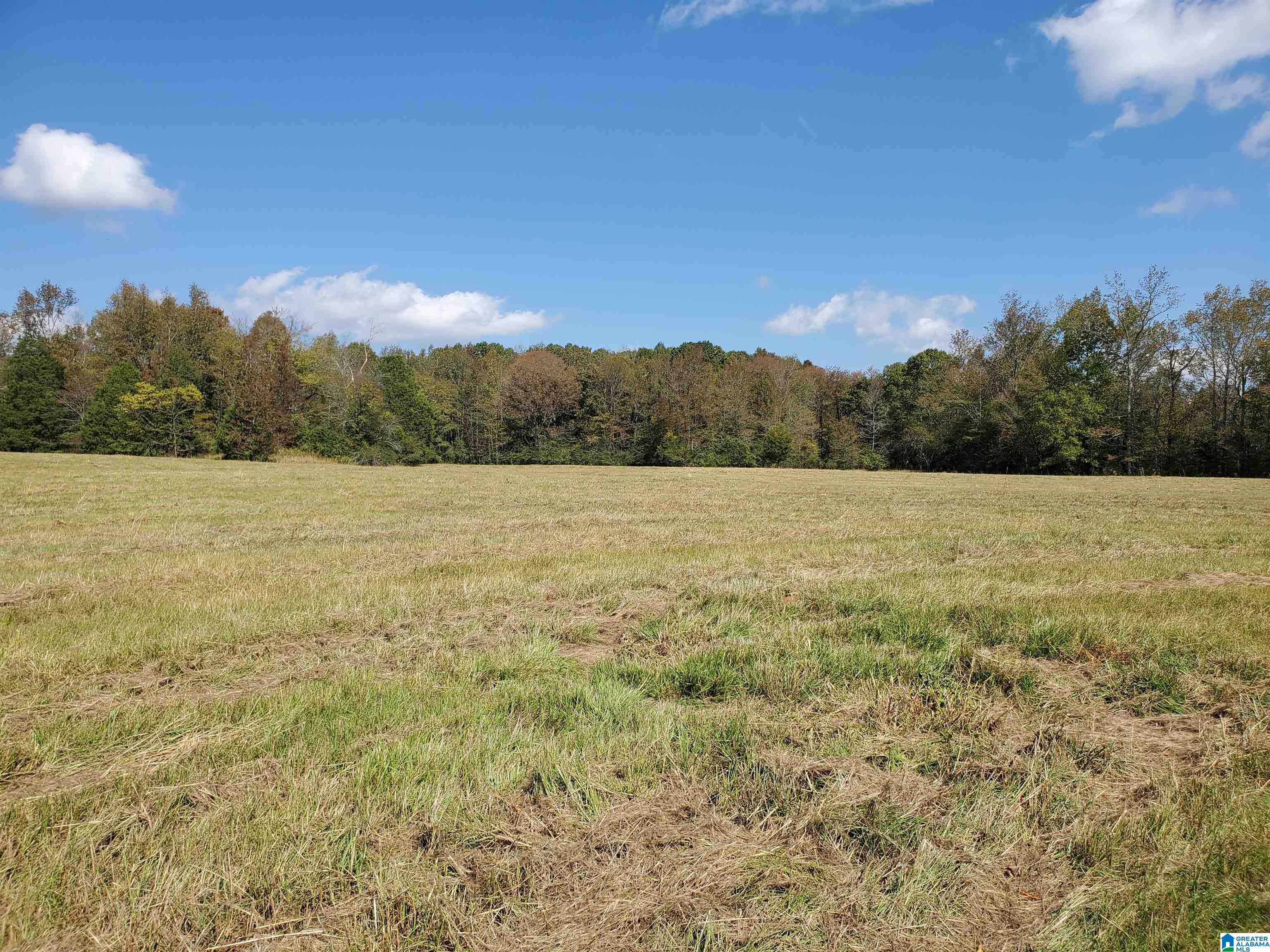 Crawford Cove Road Springville, AL 35146 - Photo 10 of 11 Gallery Image 10