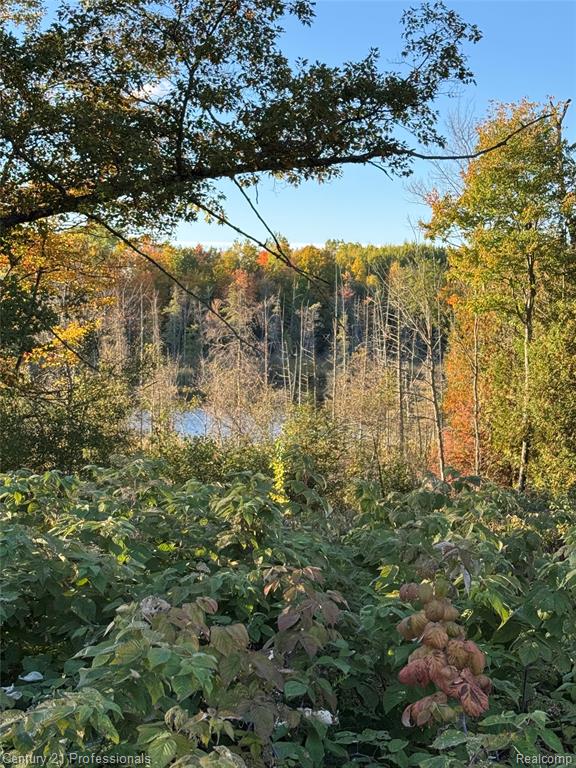 3608 South State Road Glennie, MI 48737 - Photo 15 of 42