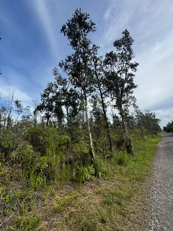 a view of a garden