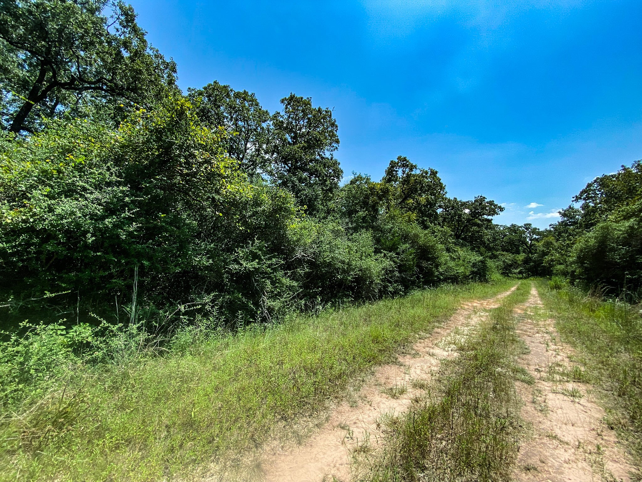 Lot 10 Ranch Road Normangee, TX 77871 - Photo 2 of 10 a view of lake background