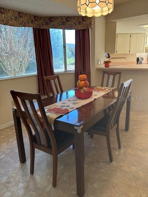 8602 Southwest 116th Place Road Ocala, FL 34481 - Photo 12 of 46