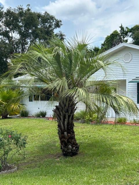 8602 Southwest 116th Place Road Ocala, FL 34481 - Photo 38 of 46