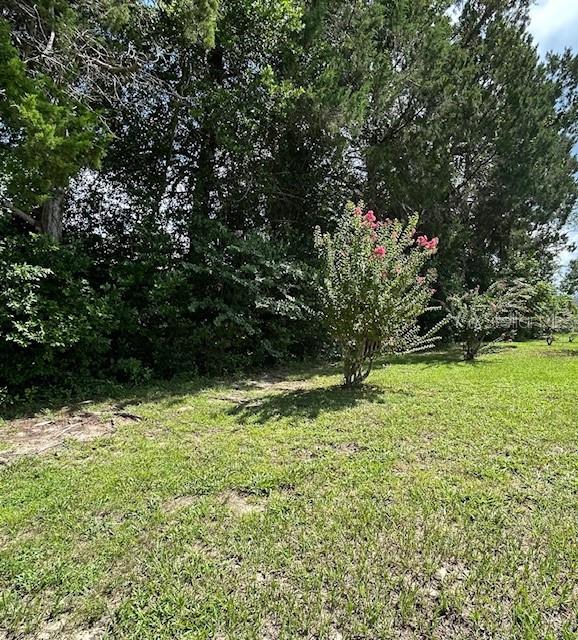 8602 Southwest 116th Place Road Ocala, FL 34481 - Photo 41 of 46